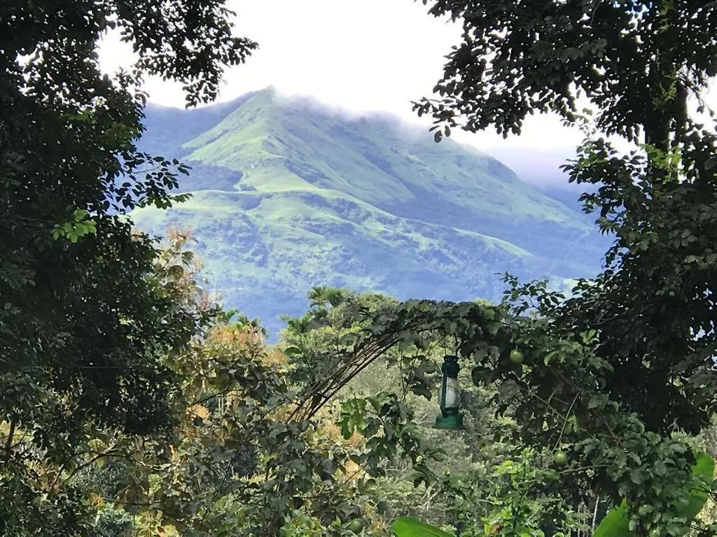 Western Ghats Holiday Home Kalpatta